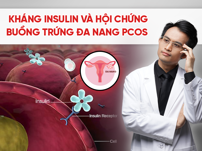 PCOS không phải do gen: Hiểu đúng về insulin để đảo ngược hội chứng buồng trứng đa nang