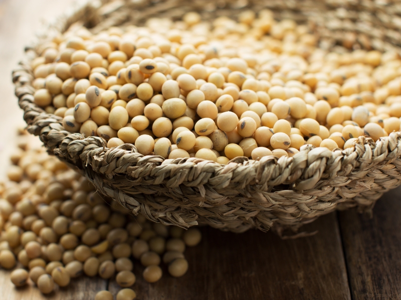 Thiếu nội tiết tố khi mang thai có nguy hiểm không? 