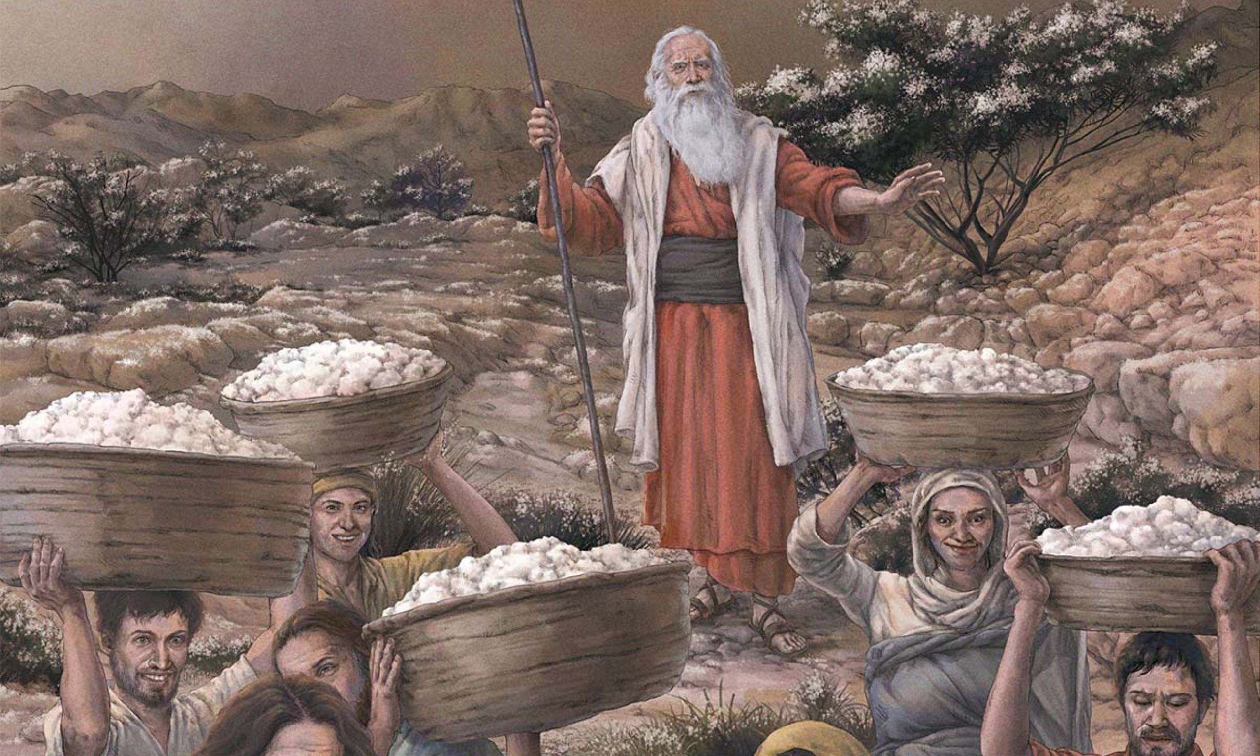 Câu chuyện Manna và Chim Cút: bằng chứng con người không cần rau củ để tồn tại