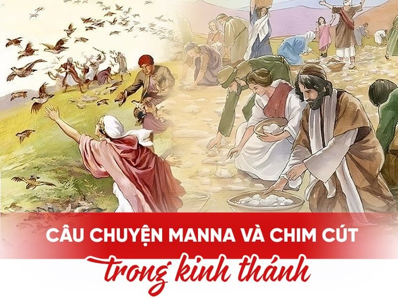 Câu chuyện Manna và Chim Cút: bằng chứng con người không cần rau củ để tồn tại