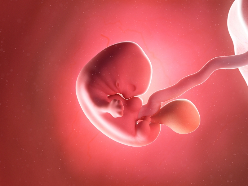 Nội tiết ảnh hưởng đến thai kỳ thế nào?