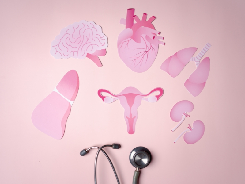 Estrogen cao ở nữ