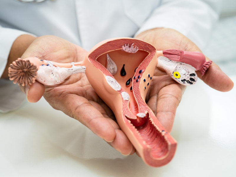 Cách vệ sinh vùng kín bị viêm nhiễm tại nhà đúng cách, an toàn