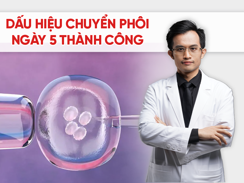 Dấu hiệu chuyển phôi ngày 5 thành công: Nhận biết sớm để tăng thêm hy vọng