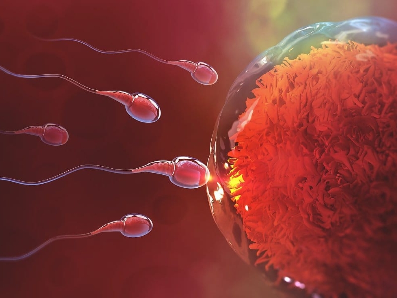 Dấu hiệu thai làm tổ sớm