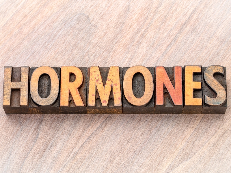 Hoocmon sinh dục nam là gì? 