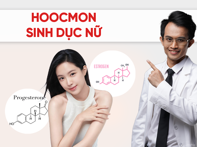 Hoocmon sinh dục nữ là gì? Estrogen và progesterone ảnh hưởng sức khỏe thế nào?