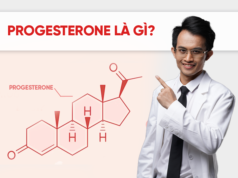 Progesterone là gì? Tác dụng quan trọng của hormone này với phụ nữ
