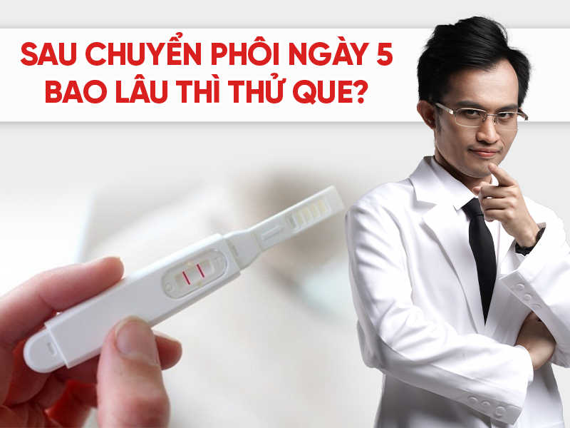 Sau chuyển phôi ngày 5 bao lâu thì thử que?