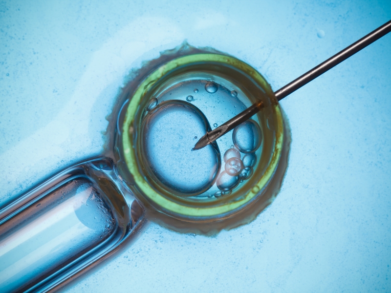 Thai ngoài tử cung sau IVF có nguy hiểm không?