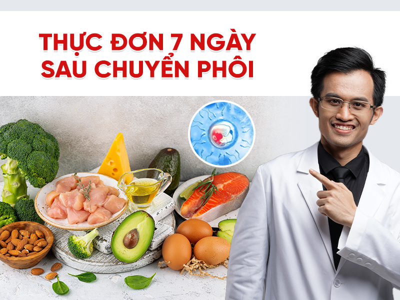 Thực đơn 7 ngày sau chuyển phôi: Ăn gì để tăng tỉ lệ thành công?