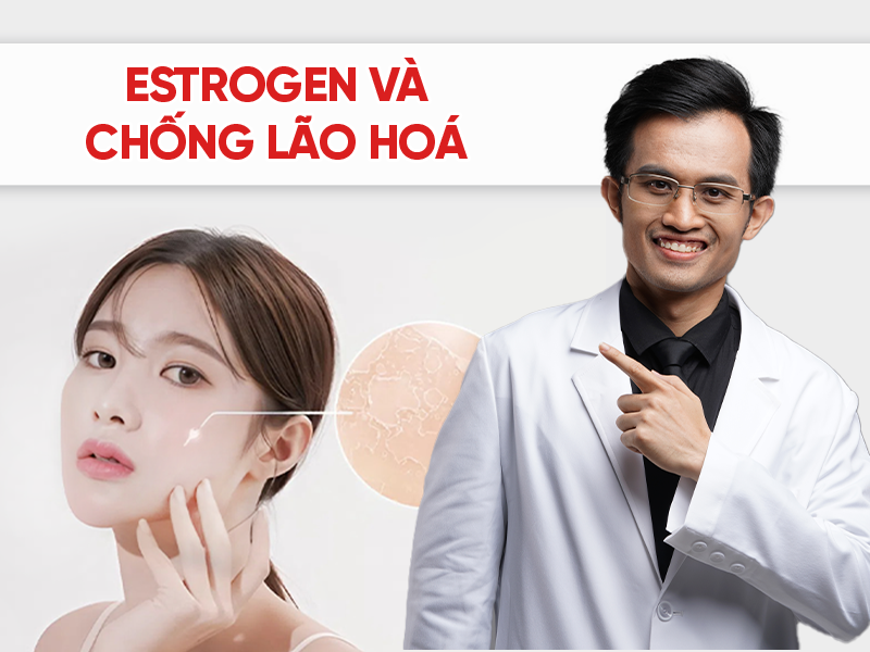 Vai trò của Estrogen trong chống lão hoá