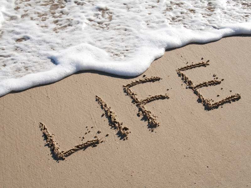 Nhịp sinh học (Circadian Rhythm) là gì?