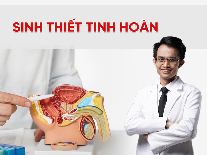 Sinh thiết tinh hoàn để làm gì, khi nào cần thực hiện?