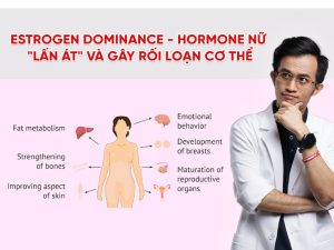 Estrogen Dominance là gì?