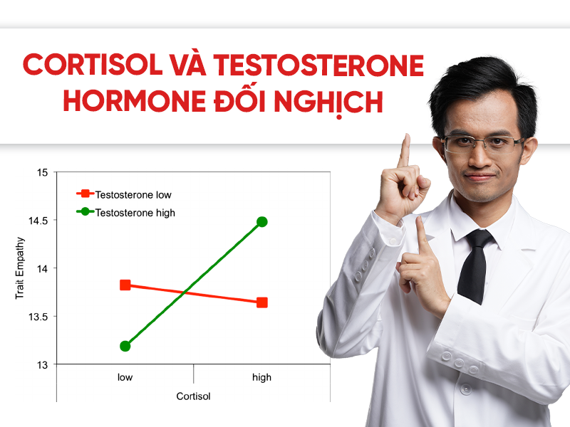 Cortisol và testosterone – Hai hormone đối nghịch ảnh hưởng đến sức khỏe nam giới