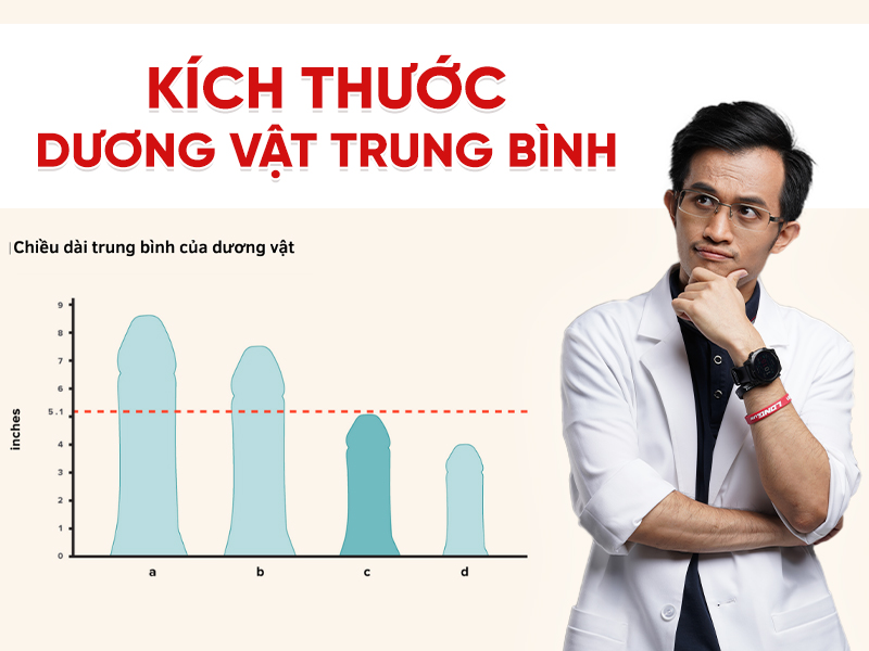 Kích thước dương vật trung bình của nam giới là bao nhiêu?