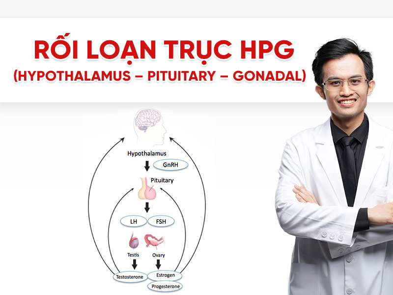 Rối loạn trục HPG (Hypothalamus – Pituitary – Gonadal)