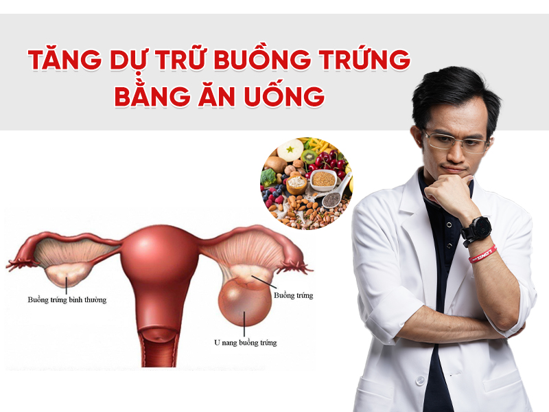 Tăng dự trữ buồng trứng bằng ăn uống: có thật không và ăn gì để hỗ trợ?
